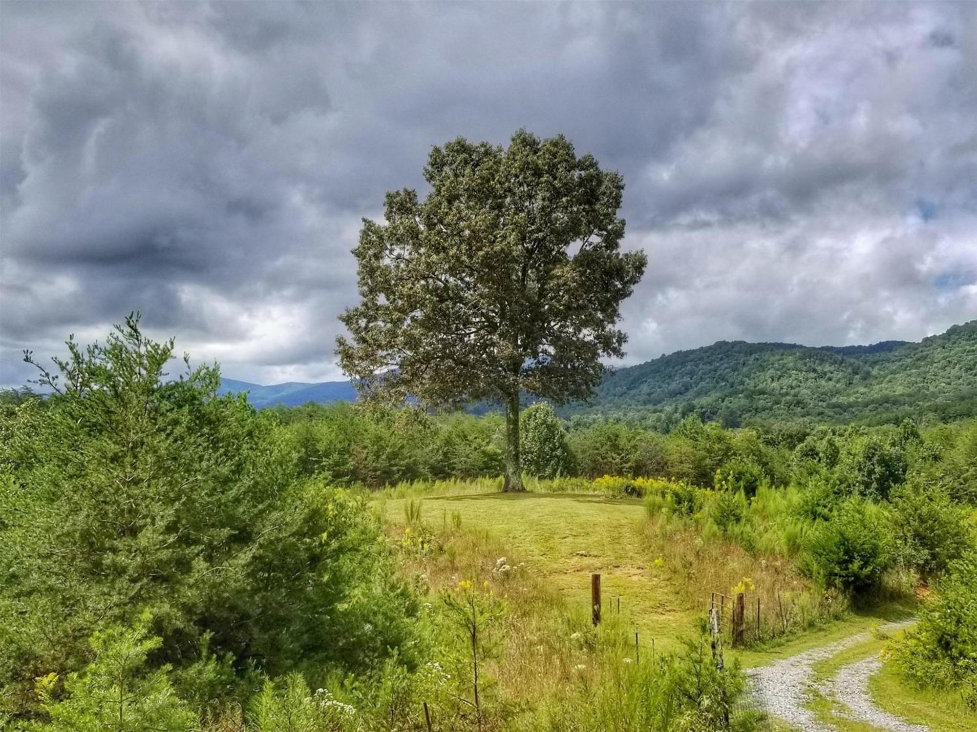 Eula Mae- Ocoee River Area Copperhill Экстерьер фото